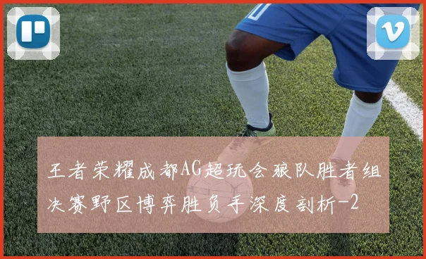 王者荣耀成都AG超玩会狼队胜者组决赛野区博弈胜负手深度剖析